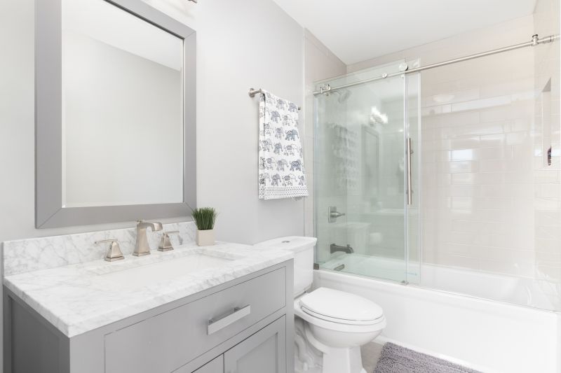 Top Tub To Shower Conversion Companies in Auburn Hills, MI